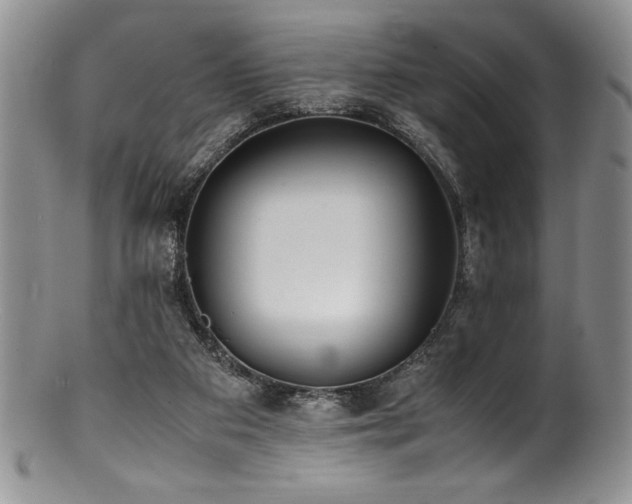 X0000100880113200806201255