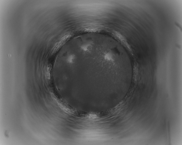 X0000100880114200806201255