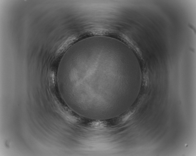 X0000100880117200806201255