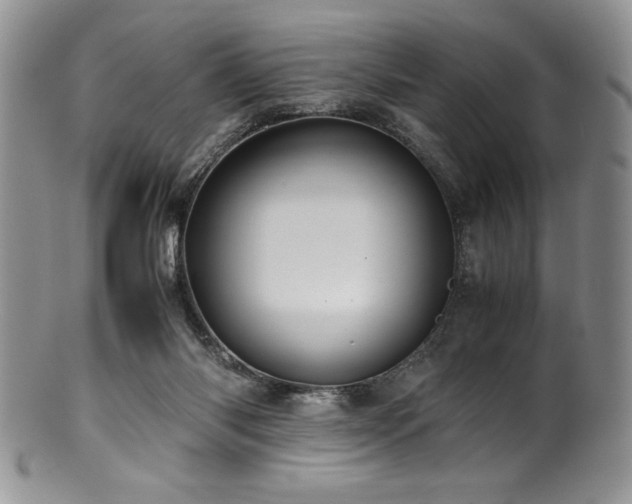 X0000100880118200806201255