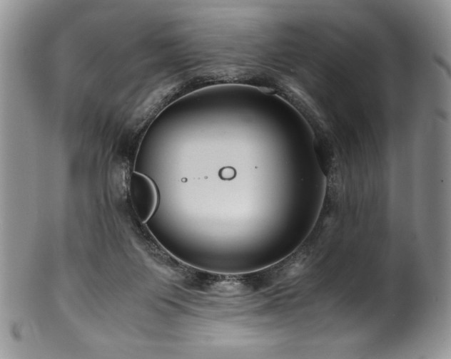 X0000100880119200806201255