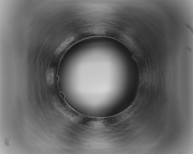 X0000100880120200806201255