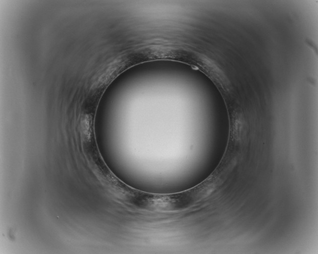 X0000100880121200806201255