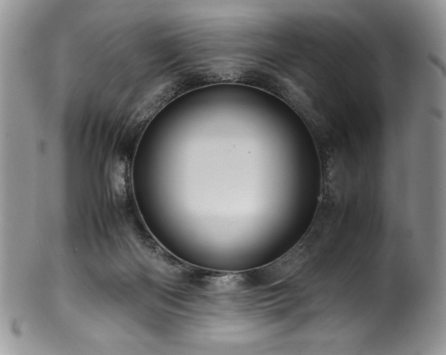 X0000100880122200806201255