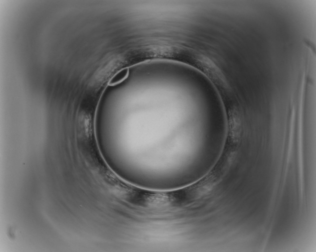 X0000100880123200806201255