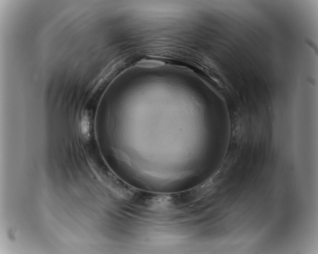 X0000100880124200806201255