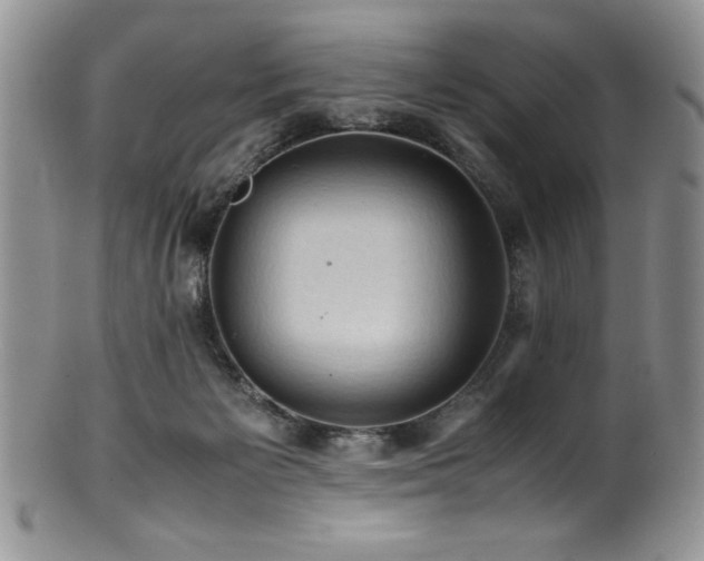 X0000100880125200806201255