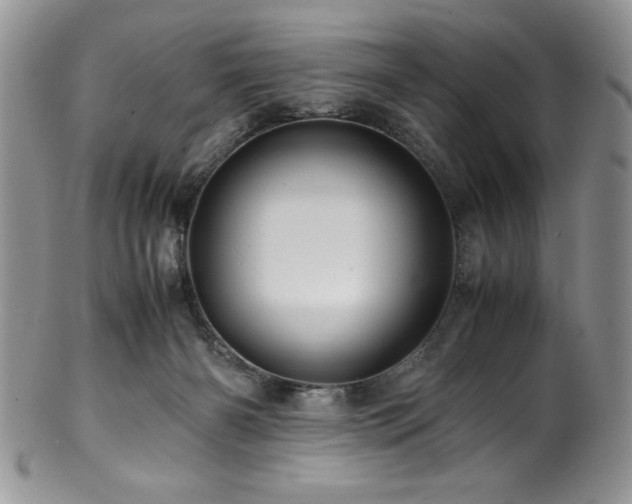 X0000100880126200806201255