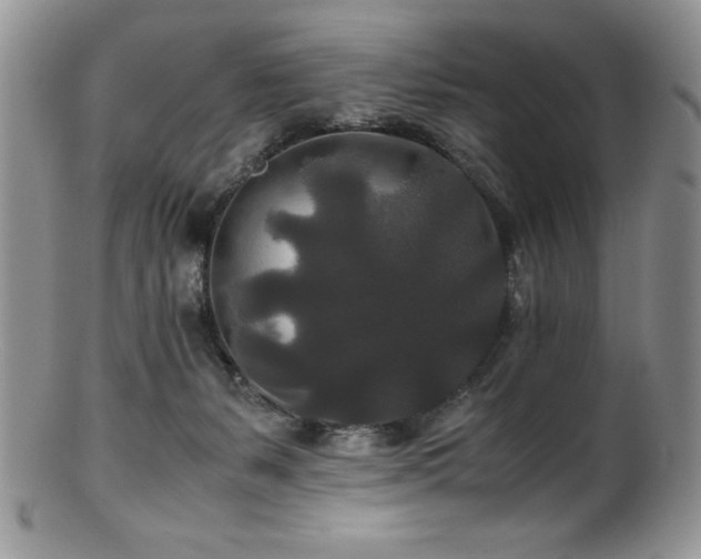 X0000100880127200806201255