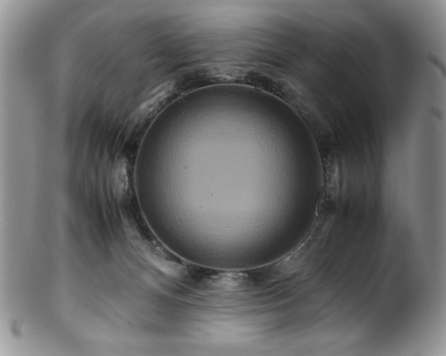 X0000100880128200806201255