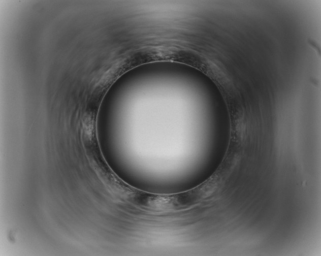 X0000100880129200806201255