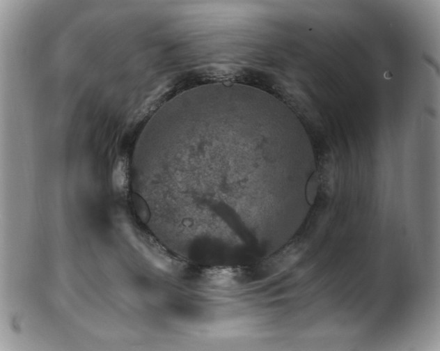 X0000100880131200806201255