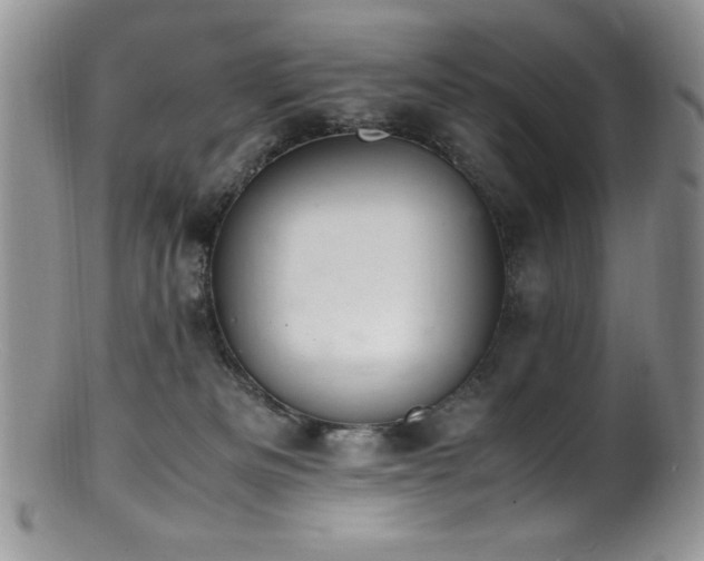 X0000100880133200806201255