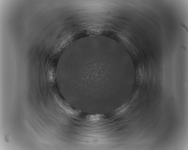 X0000100880134200806201255