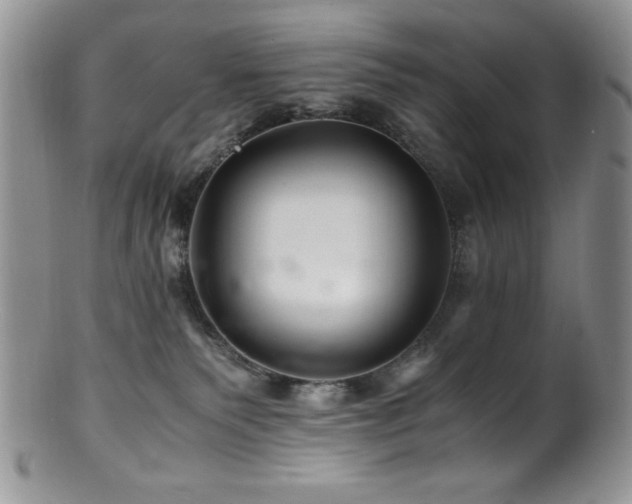 X0000100880135200806201255