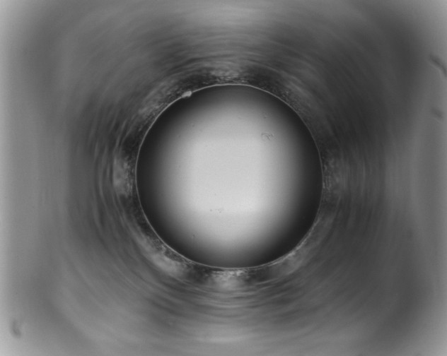 X0000100880136200806201254