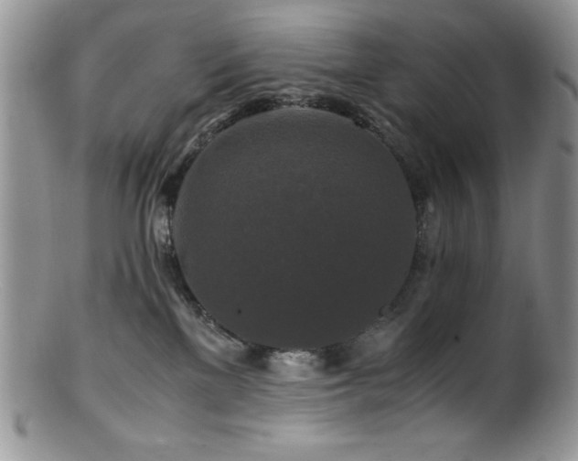 X0000100880137200806201254