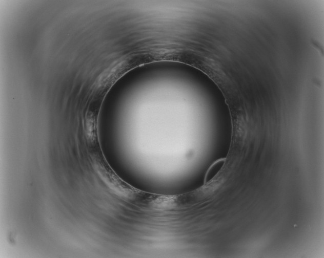 X0000100880138200806201254