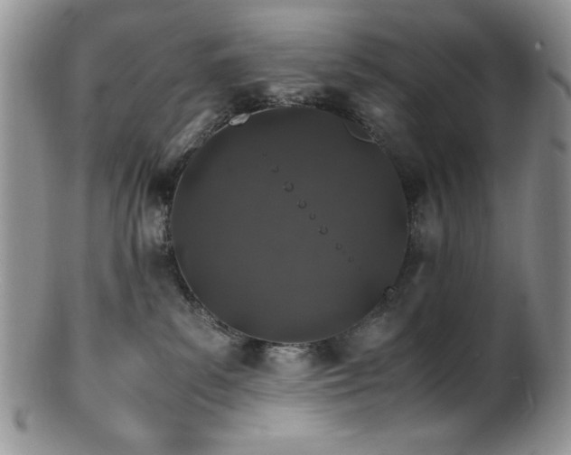 X0000100880139200806201254