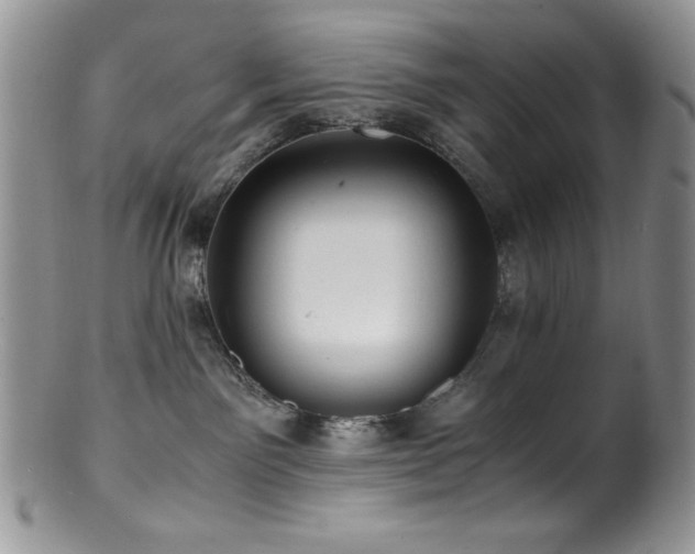 X0000100880141200806201254