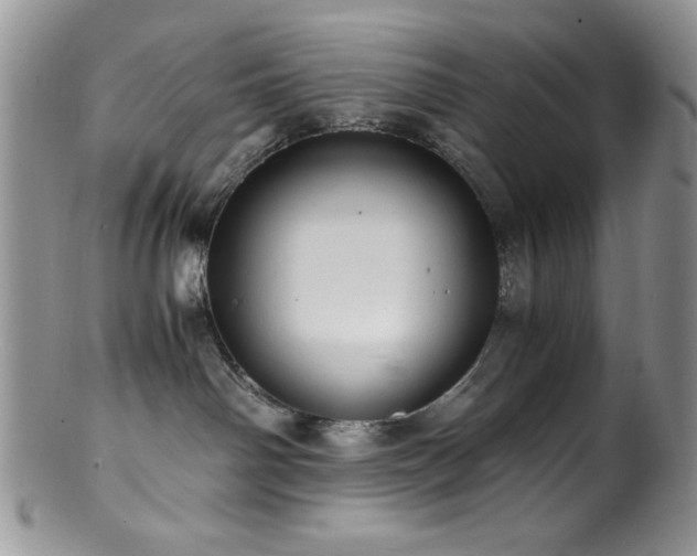 X0000100880142200806201254