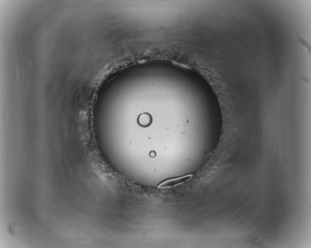 X0000100880144200806201254