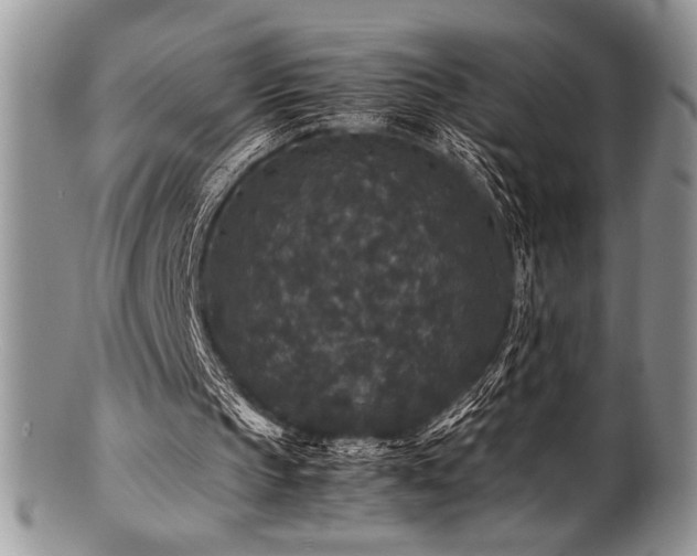 X0000100880145200806201254