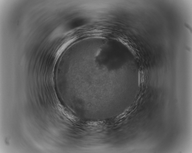 X0000100880147200806201254