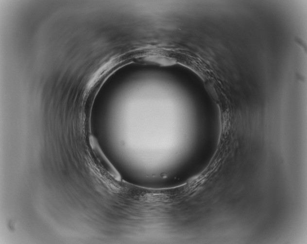 X0000100880150200806201254