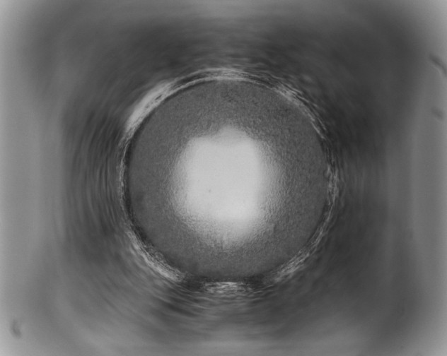 X0000100880151200806201254