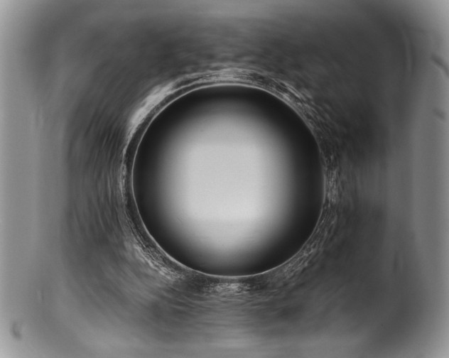 X0000100880152200806201254