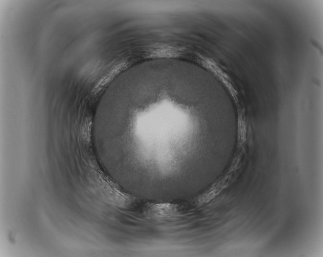 X0000100880153200806201254