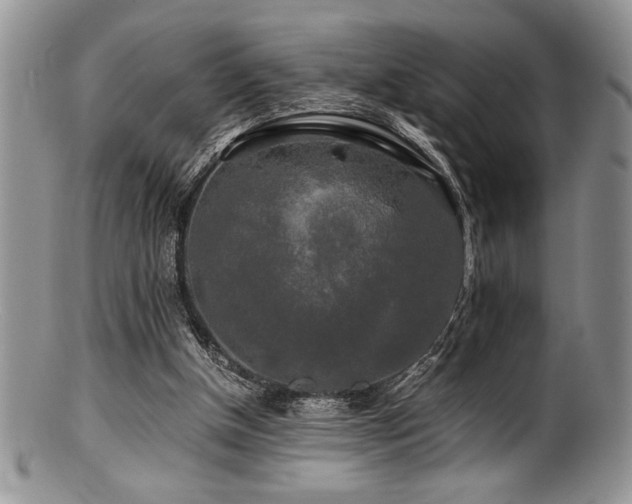 X0000100880154200806201254