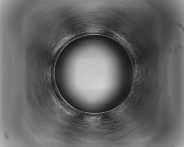 X0000100880155200806201254