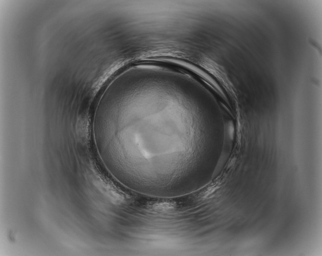 X0000100880156200806201254