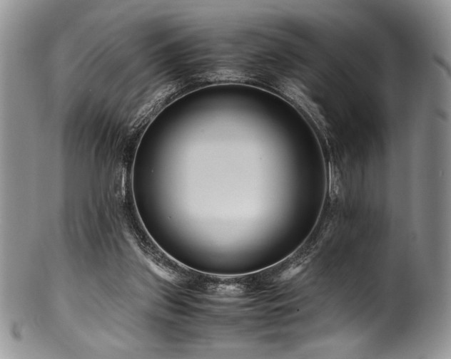 X0000100880157200806201254