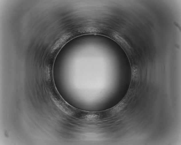 X0000100880158200806201254