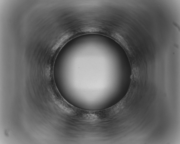 X0000100880159200806201254