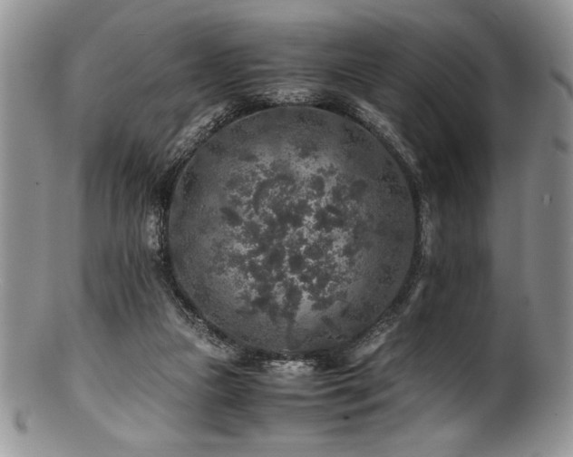 X0000100880161200806201254