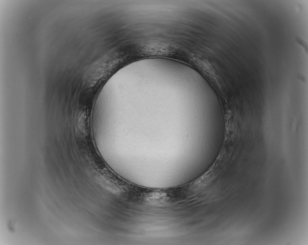 X0000100880162200806201254