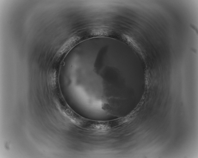 X0000100880163200806201254