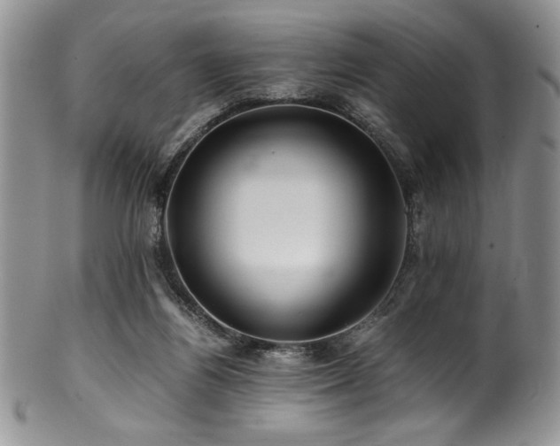 X0000100880164200806201254