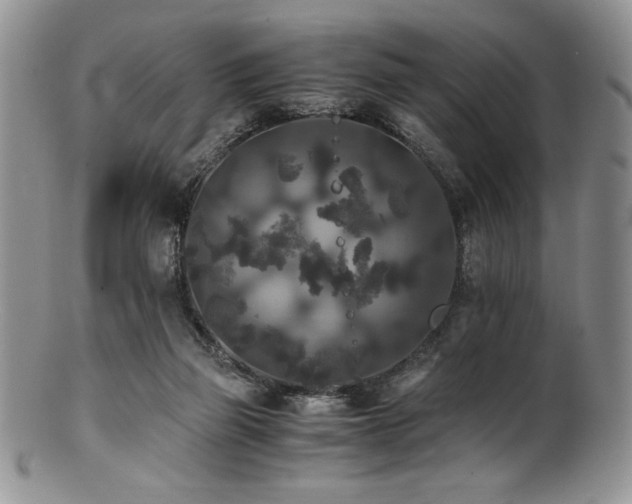 X0000100880165200806201254