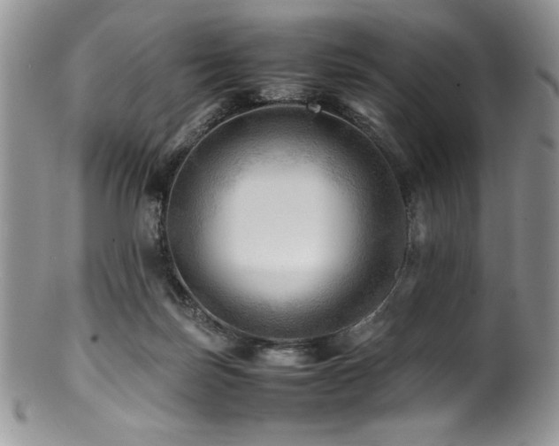 X0000100880171200806201254