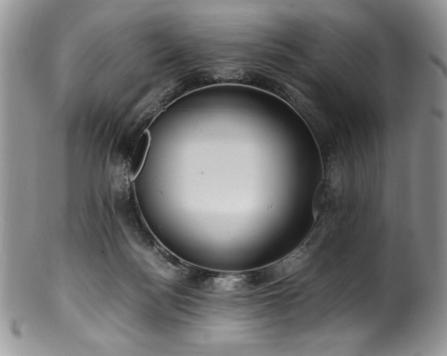 X0000100880172200806201254