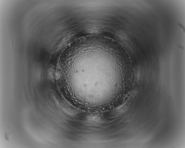 X0000100880175200806201254