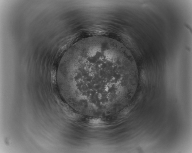 X0000100880177200806201254