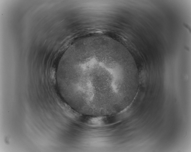 X0000100880178200806201254