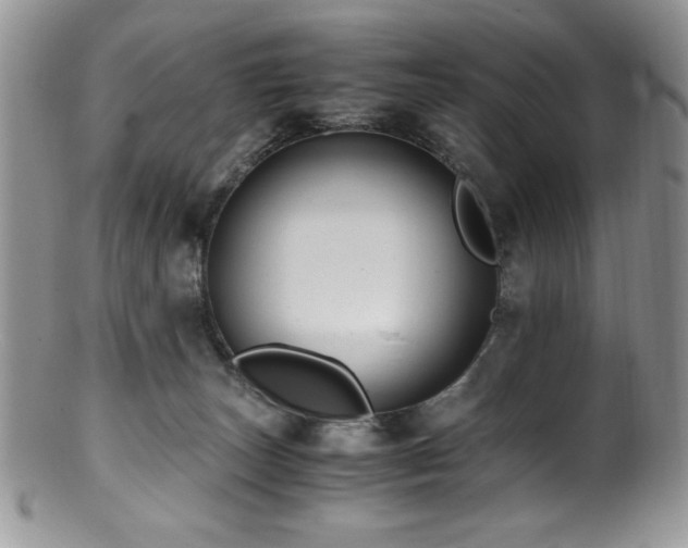 X0000100880179200806201254