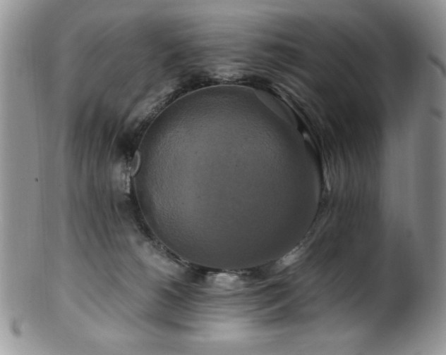 X0000100880180200806201254